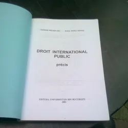 DROIT INTERNATIONAL PUBLIC - TEODOR MELESCANU, IULIA VOINA MOTOC