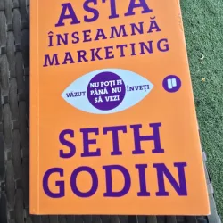 ASTA INSEAMNA MARKETING - SETH GODIN