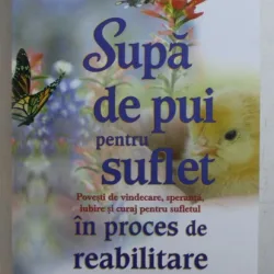 SUPA DE PUI PENTRU SUFLET - POVESTI DE VINDECARE , SPERANTA , IUBIRE SI CURAJ PENTRU SUFLETUL IN PROCES DE REABILITARE DE JACK CANFIELD ...PETER VEGSO , 2013
