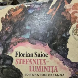 Stefanita Luminita, Florian Saioc