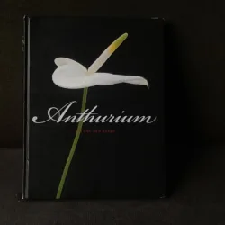 Anthurium