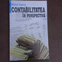 Contabilitatea in perspectiva - Michel Capron