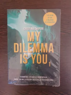 Cristina Chiperi - My dilemma is you 1