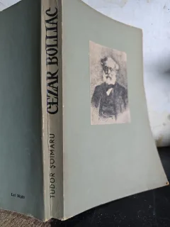 Cezar Bolliac - Tudor Șoimaru