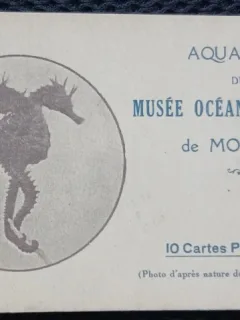 Album cu 10 fotografii de la Acvariul Muzeului de Oceanografie din Monaco