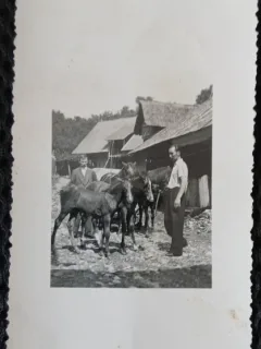 Fotografie, Doi barbati cu caii, intr-un sat din Romania, anii 40