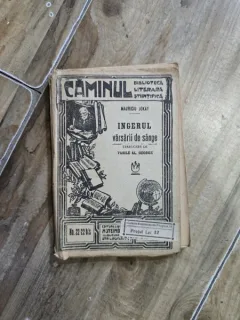 Ingerul varsarii de sange - Mauriciu Jokay