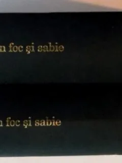 PRIN FOC SI SABIE DE HENRYK SIENKIEWICZ , VOL I-II , 2010