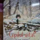 Copilul uitat, un basm scandinav - Kai Luftner