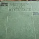GEOMETRIA SECRETA A PICTORILOR - CHARLES BOULEAU