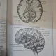ATLAS DE ANATOMIE UMANA, VOL. I, II, III - MIRCEA GH. IFRIM