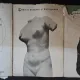 ATLAS DE ANATOMIE UMANA, VOL. I, II, III - MIRCEA GH. IFRIM