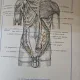 ATLAS DE ANATOMIE UMANA, VOL. I, II, III - MIRCEA GH. IFRIM