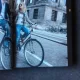 THE DUTCH  AND THEIR BIKES, SCENES FROM A NATION OF CYCLISTS - SHIRLEY AGUDO  (CARTE DE FOTOGRAGIE)
