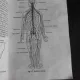 Shiatsu, metoda terapeutica japoneza - Tokujiro Namikoshi