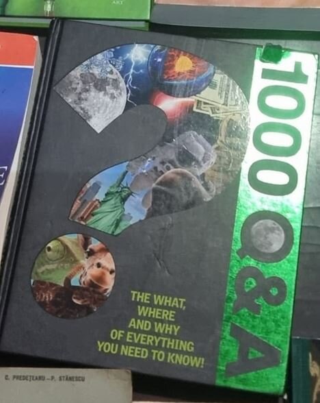 1000 Q&A. The What, Where and Why of Everything you Need to Know!