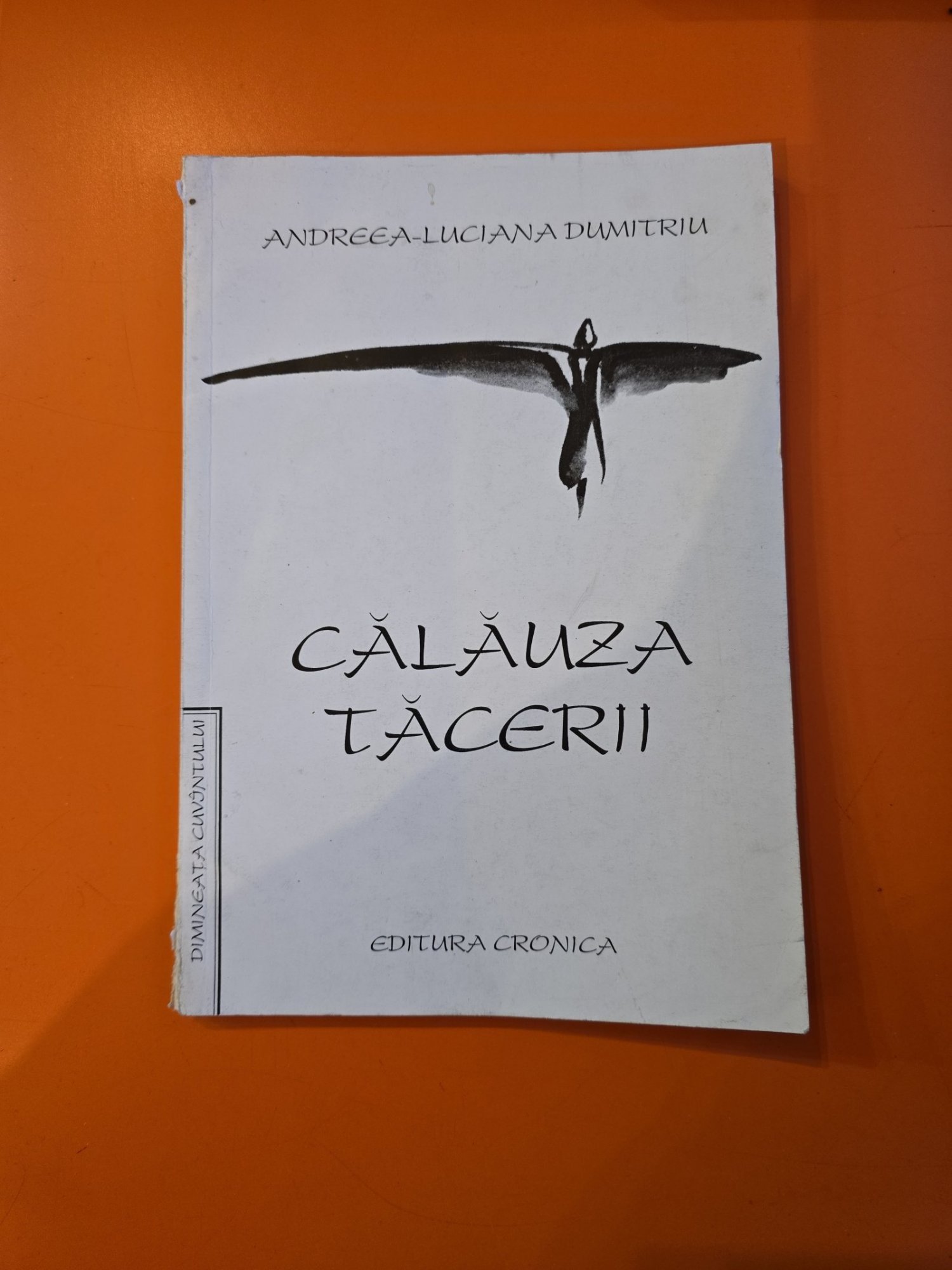 Călăuza tacerii - Andreea-Luciana Dumitriu
