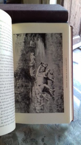 MES CHASSES EN CHINE - HAROLD FRANK WALLACE  (PARTIDELE MELE DE VANATOARE, IN CHINA)