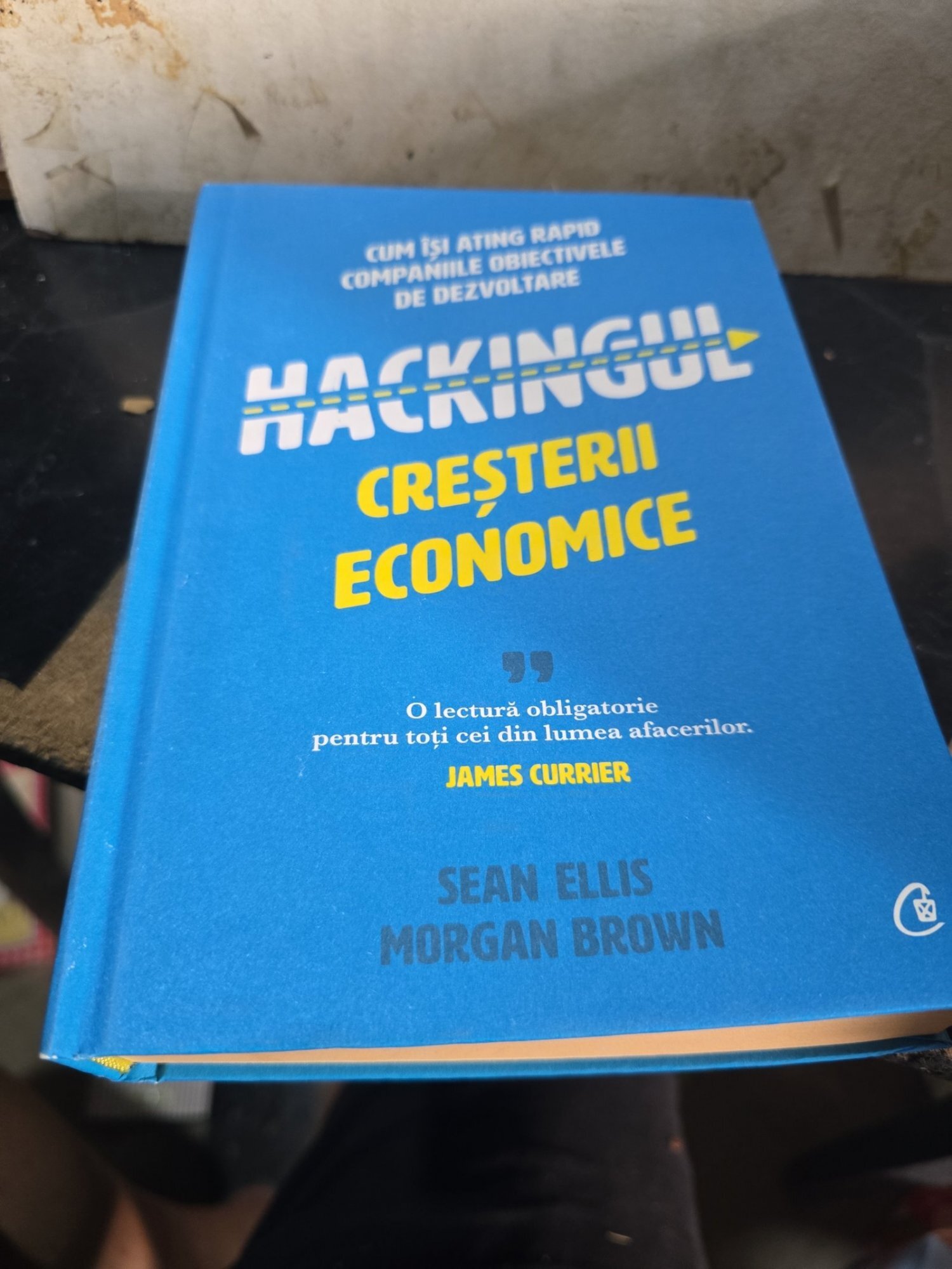 Hackingul creșterii economice - Sean Ellis, Morgan Brown