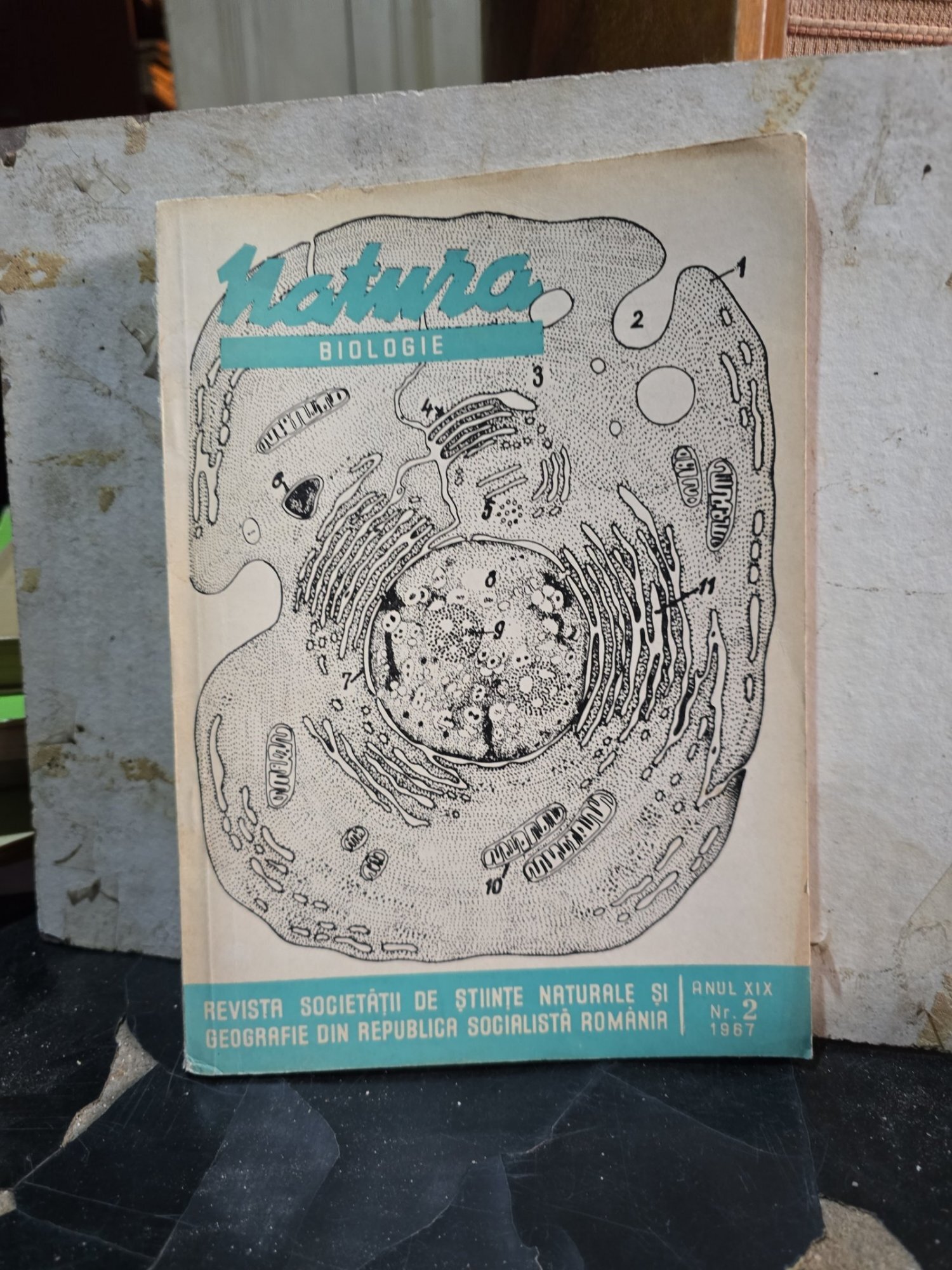 Natura nr,2/1967 - Revista Societății de Științe Naturale și Geografie