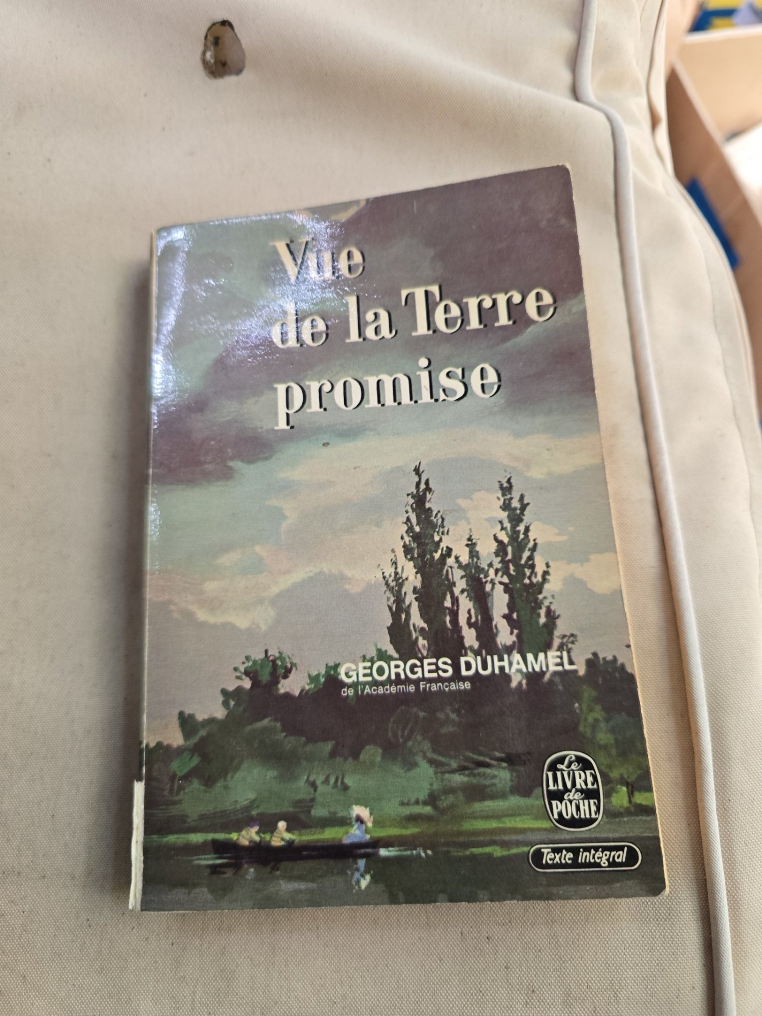 Vue de la Terre promise - Georges Duhamel