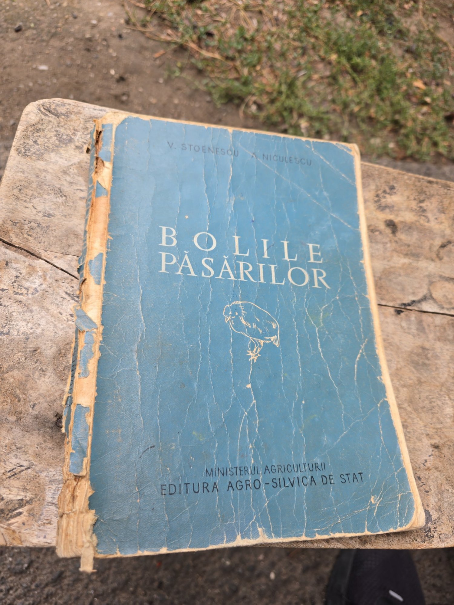 Bolile păsărilor - V. Stoenescu, A. Niculescu