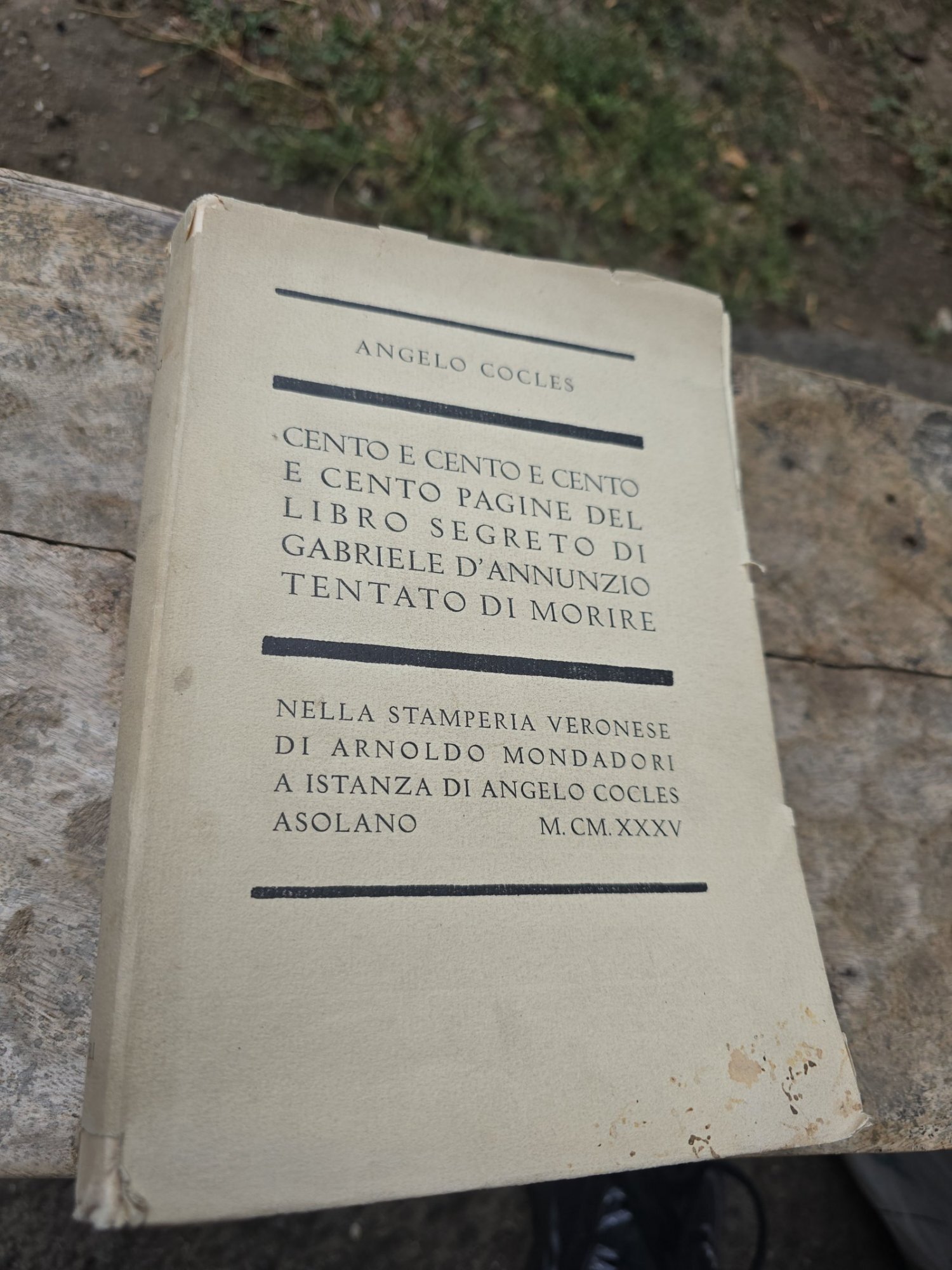 Cento e cento e cento e cento pagine del libro segreto di Gabriele D/Annunzio tentato di morire - Angelo Cocles