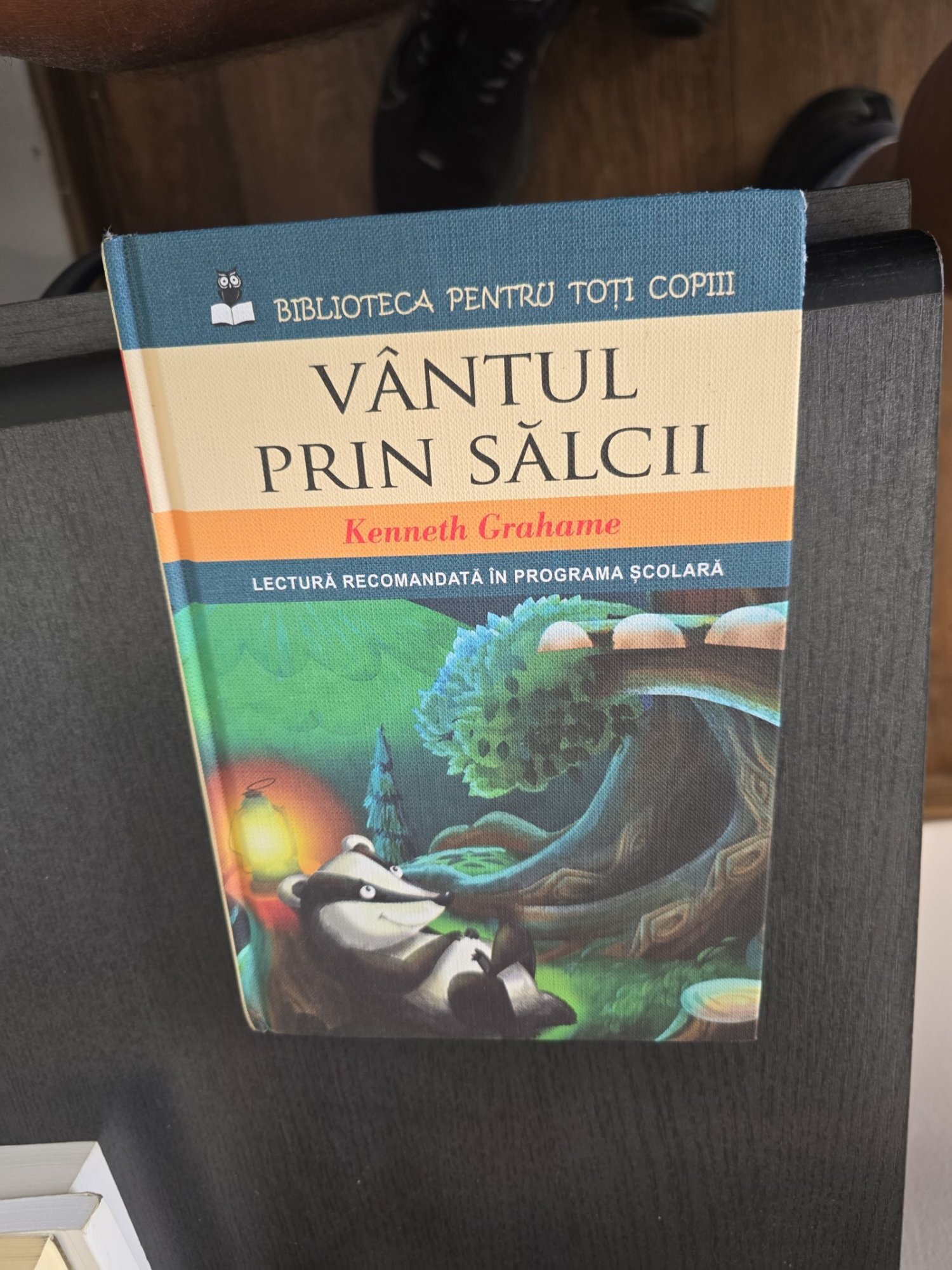Vântul prin sălcii - Kenneth Grahame