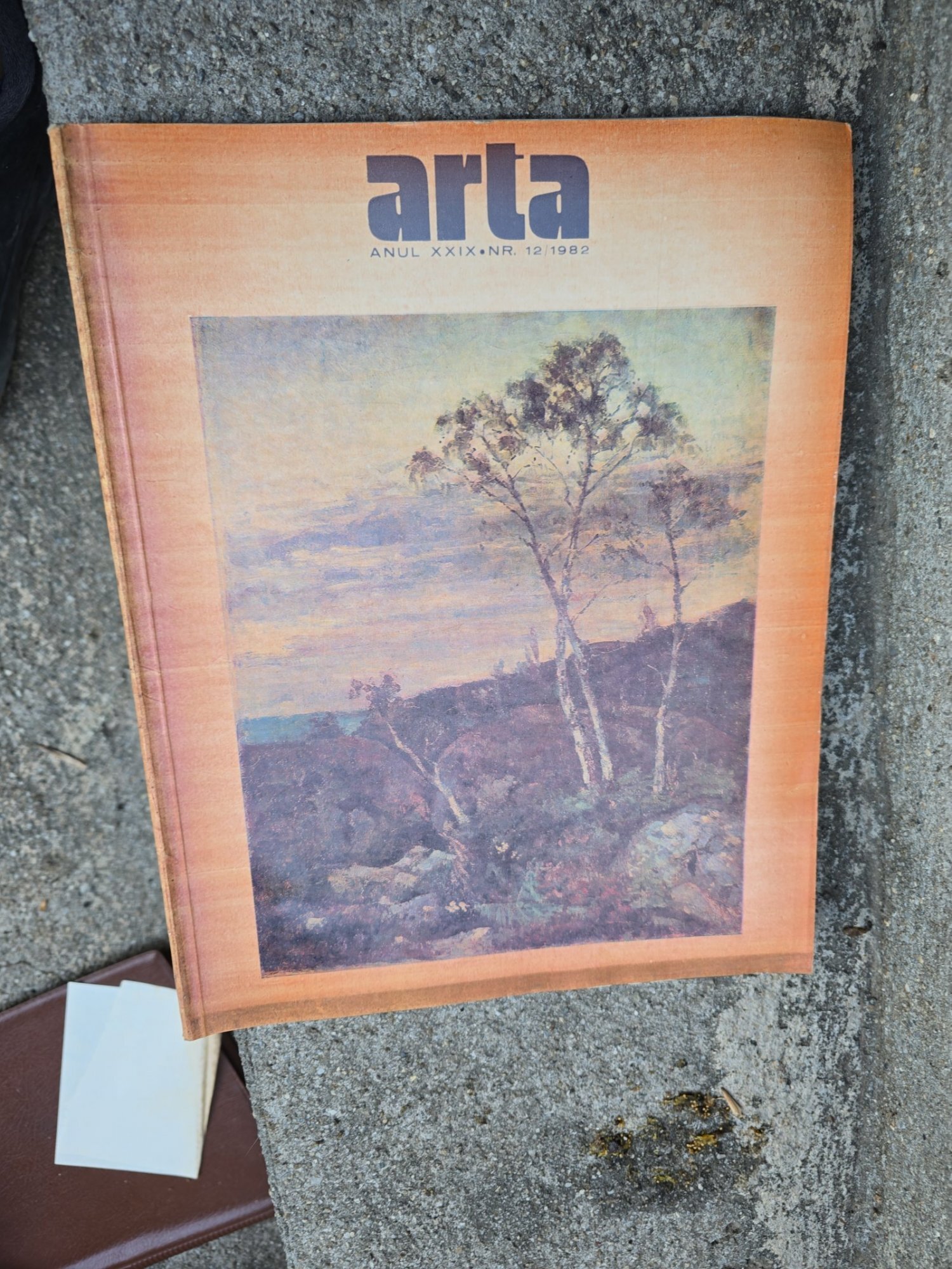 Arta nr.12/ 1982 ,Revista a Uniunii Artistilor Plastici din Republica Socialista Romania Vasile Dragut (red. sef)