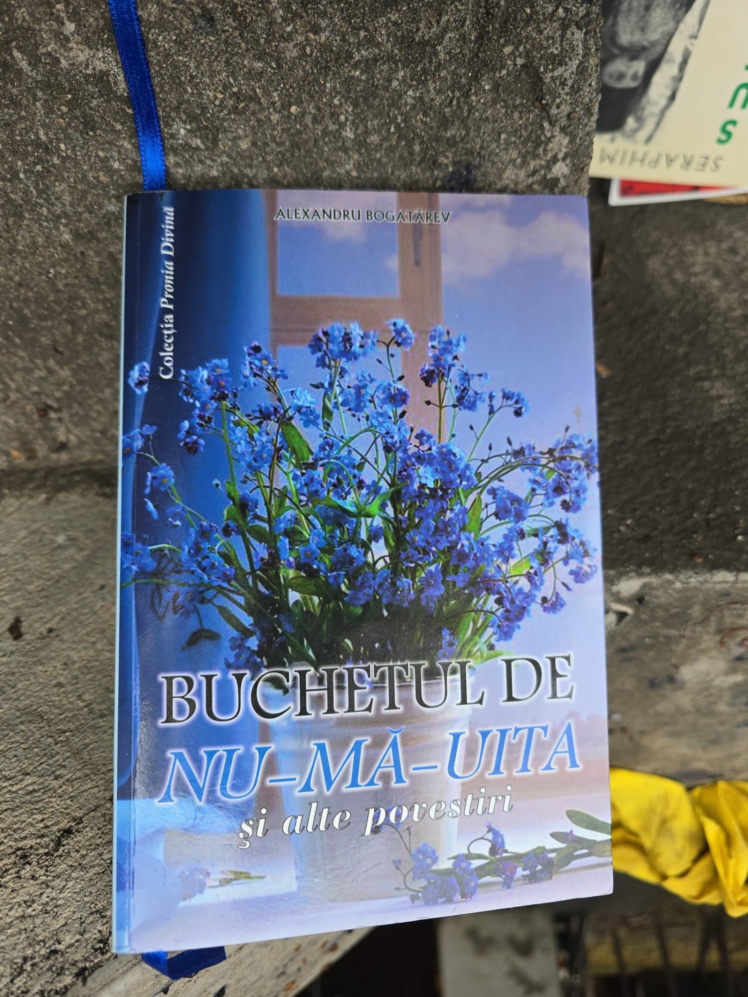 Buchetul de nu-ma-uita si alte povestiri - Alexandru Bogatîreț