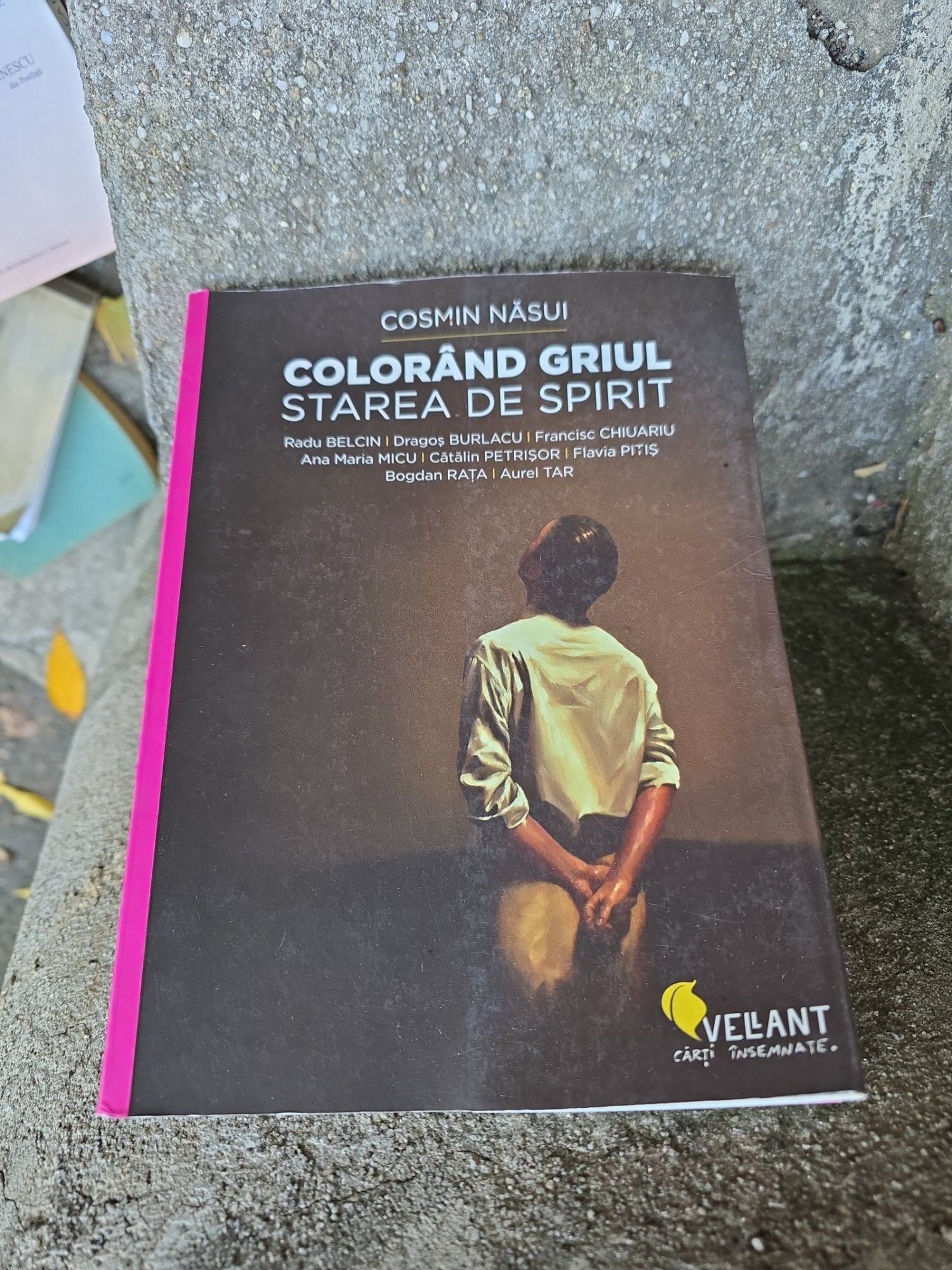 Colorând griul starea de spirit - Cosmin Năsui