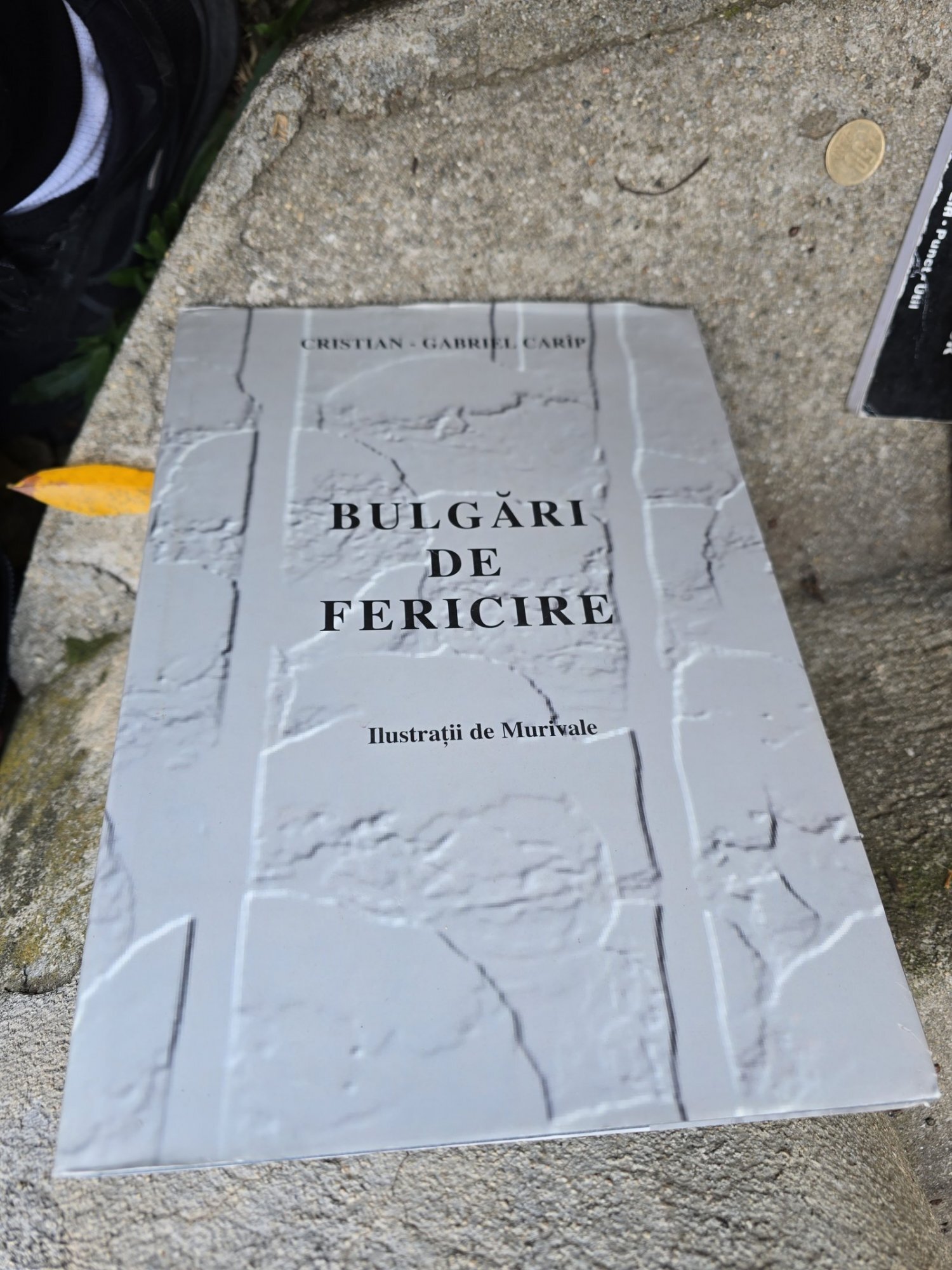 Bulgar de fericire - Cristian-Gabriel Cărăp