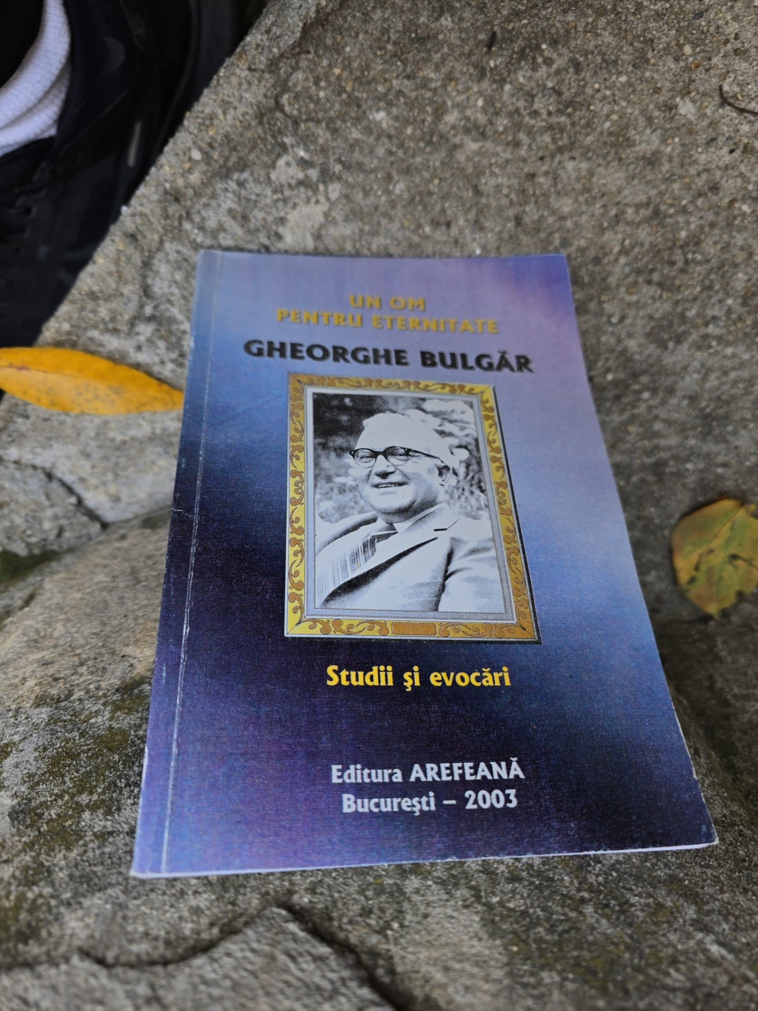 Un om pentru eternitate - Gheorghe Bulgăr