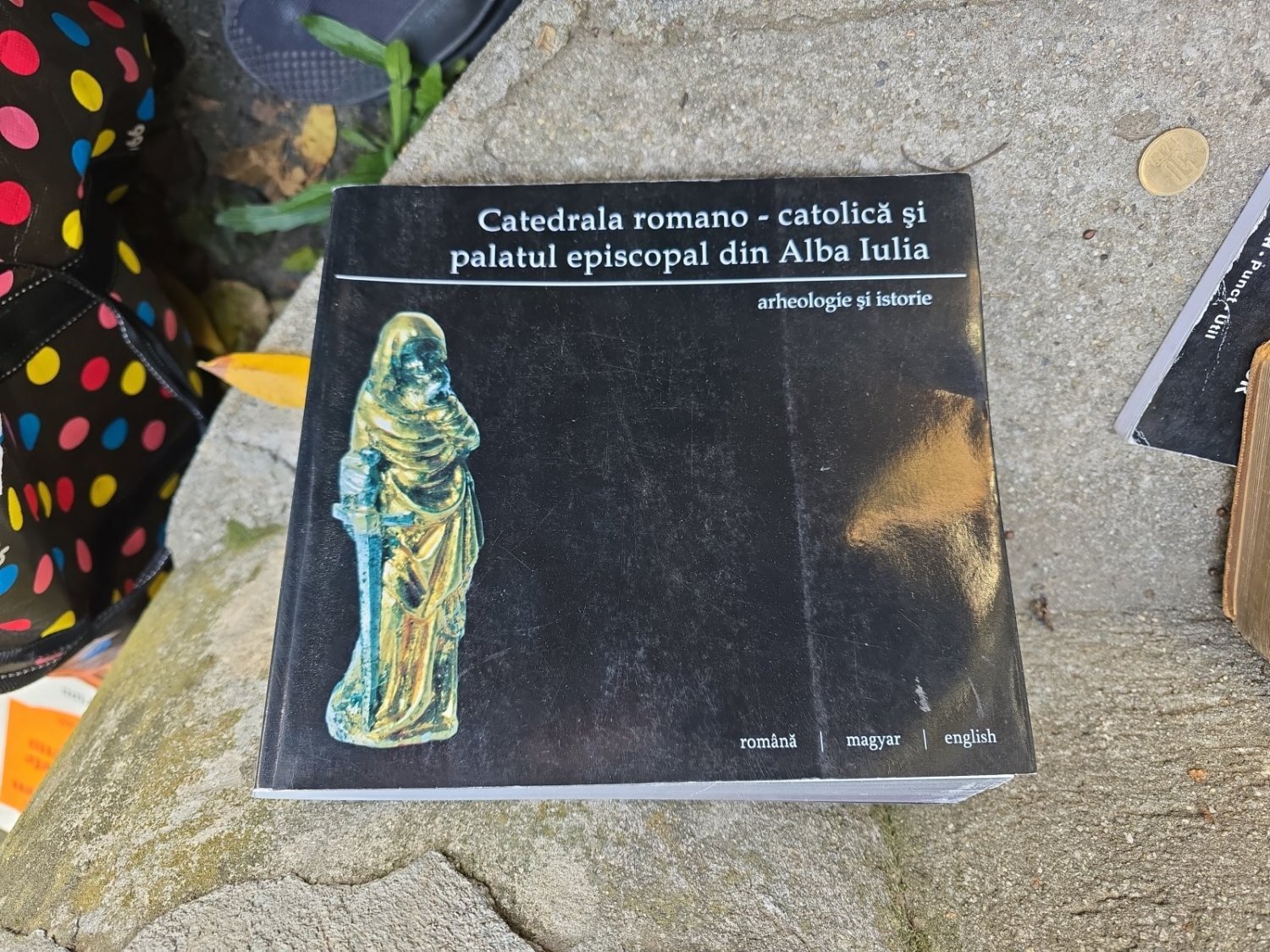 Catedrala romano-catolică și palatul episcopal din Alba Iulia - Necunoscut