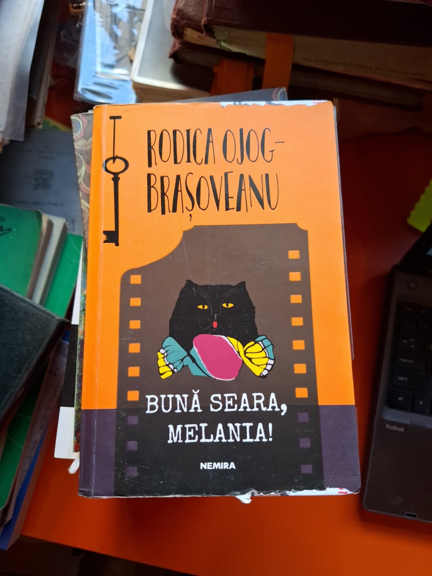 Bună seara, Melania! - Rodica Ojog-Brașoveanu