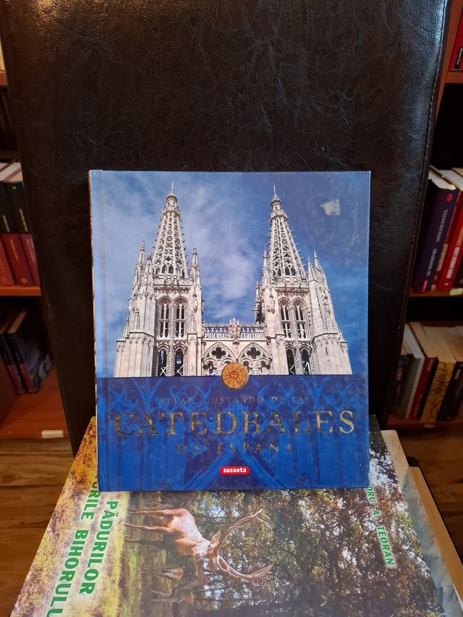 Catedrale de Spania - Susata