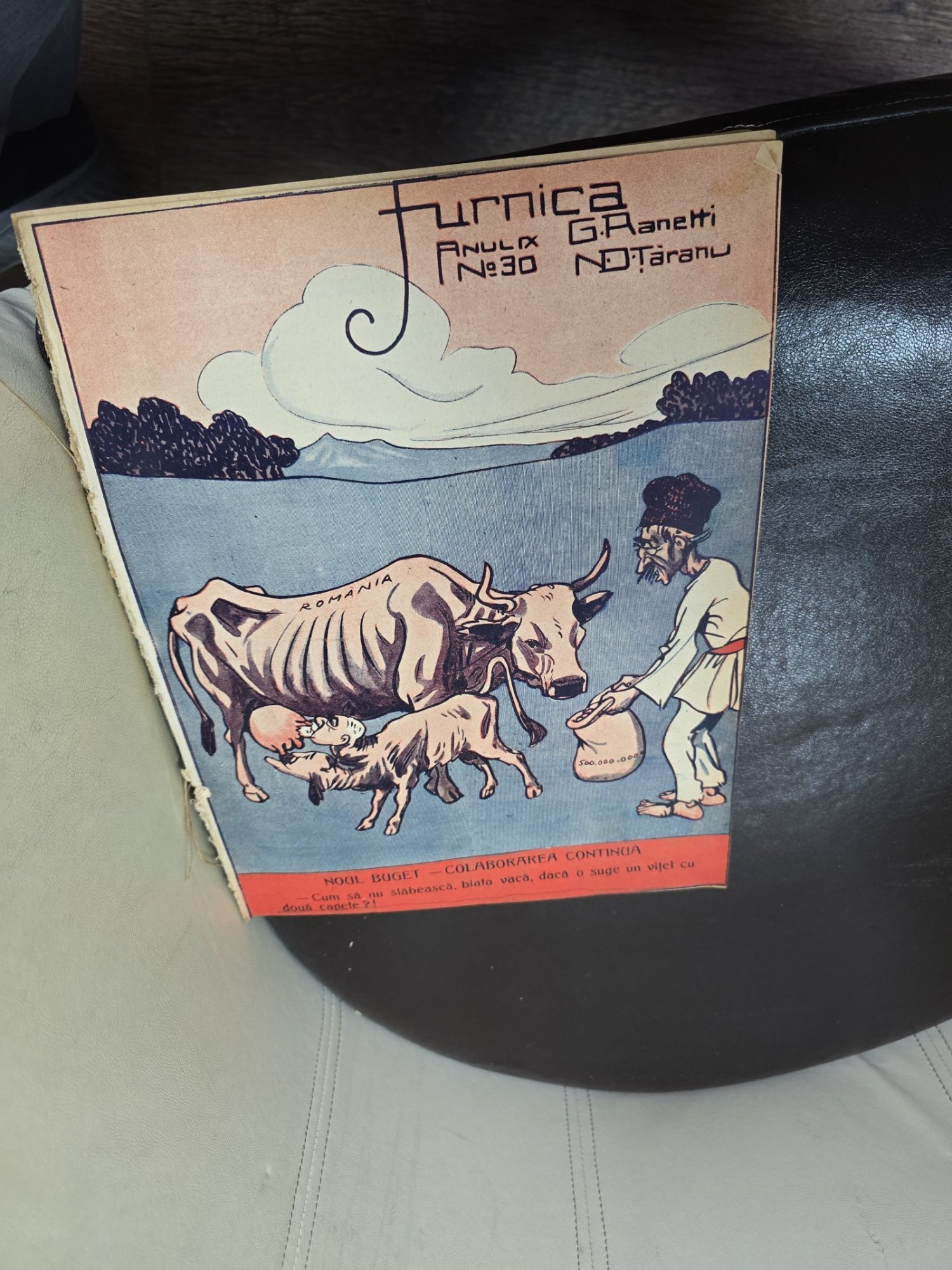 Furnica nr.30 an IX - G. Ranetti, N. D. Tăranu