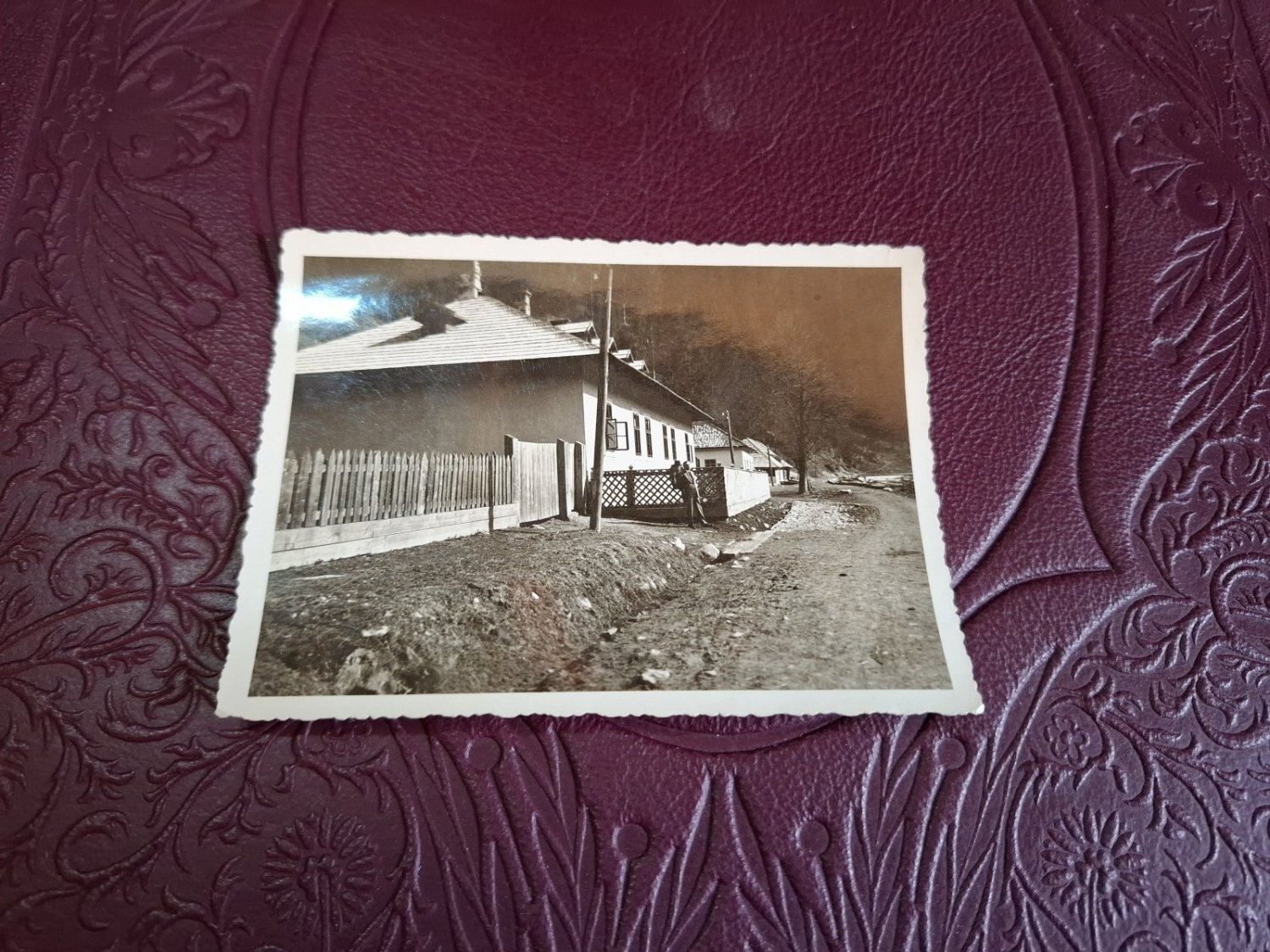 Fotografie veche , alb negru , Casa la munte - format mic