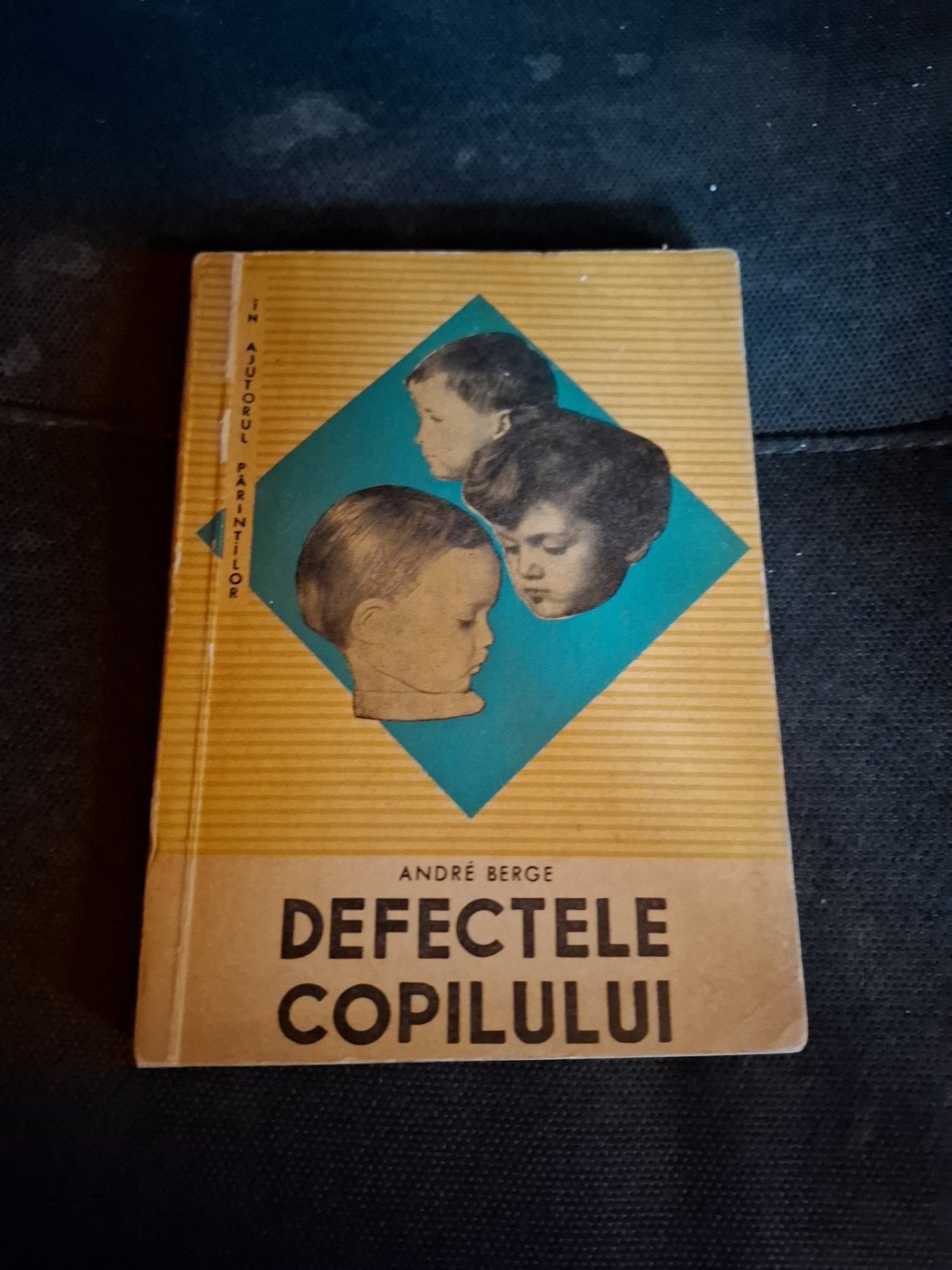 Defectele copilului - André Berge