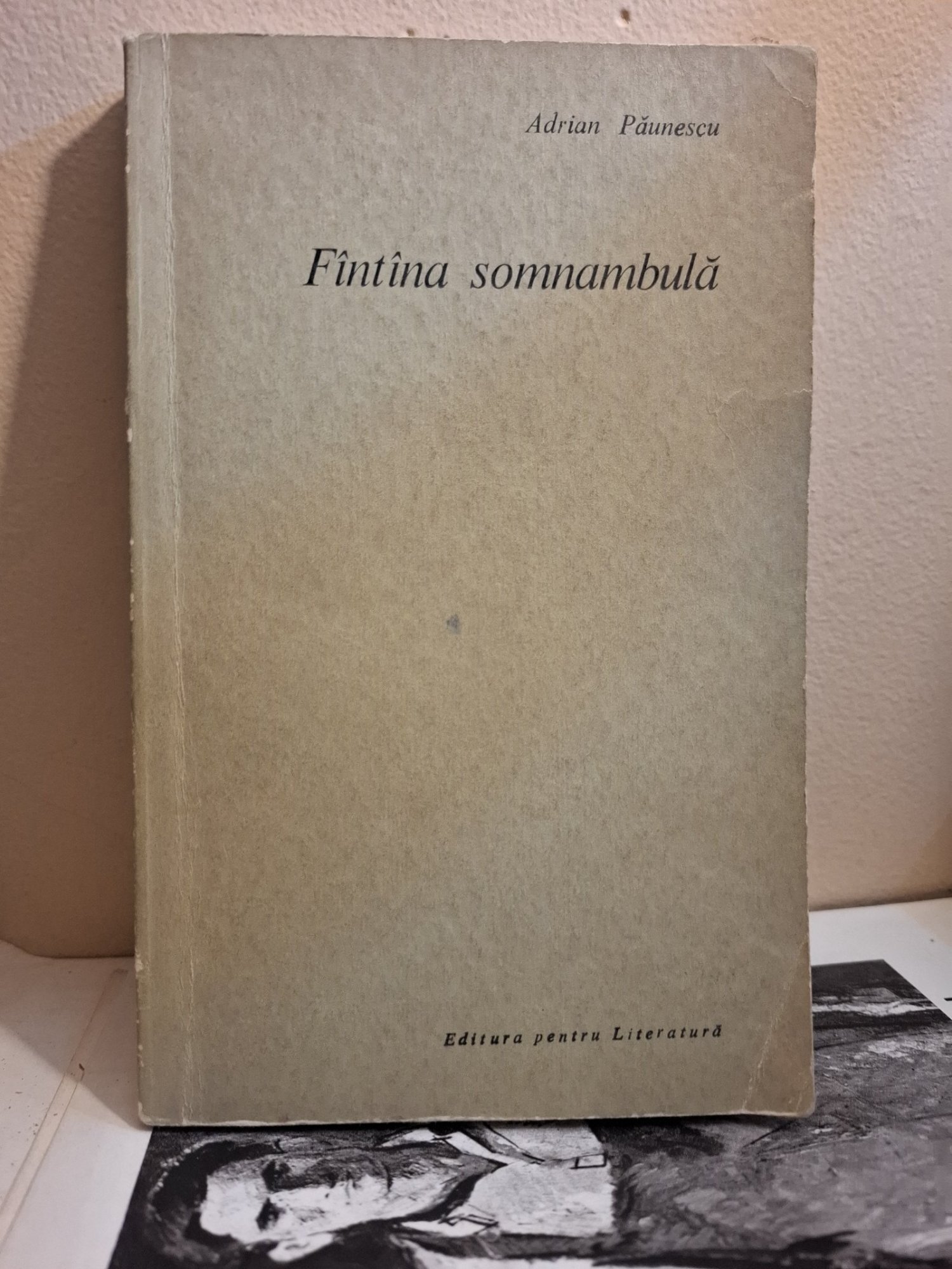 Fîntina somnambulă (cu dedicatie pentru Niculae Stoian) - Adrian Păunescu