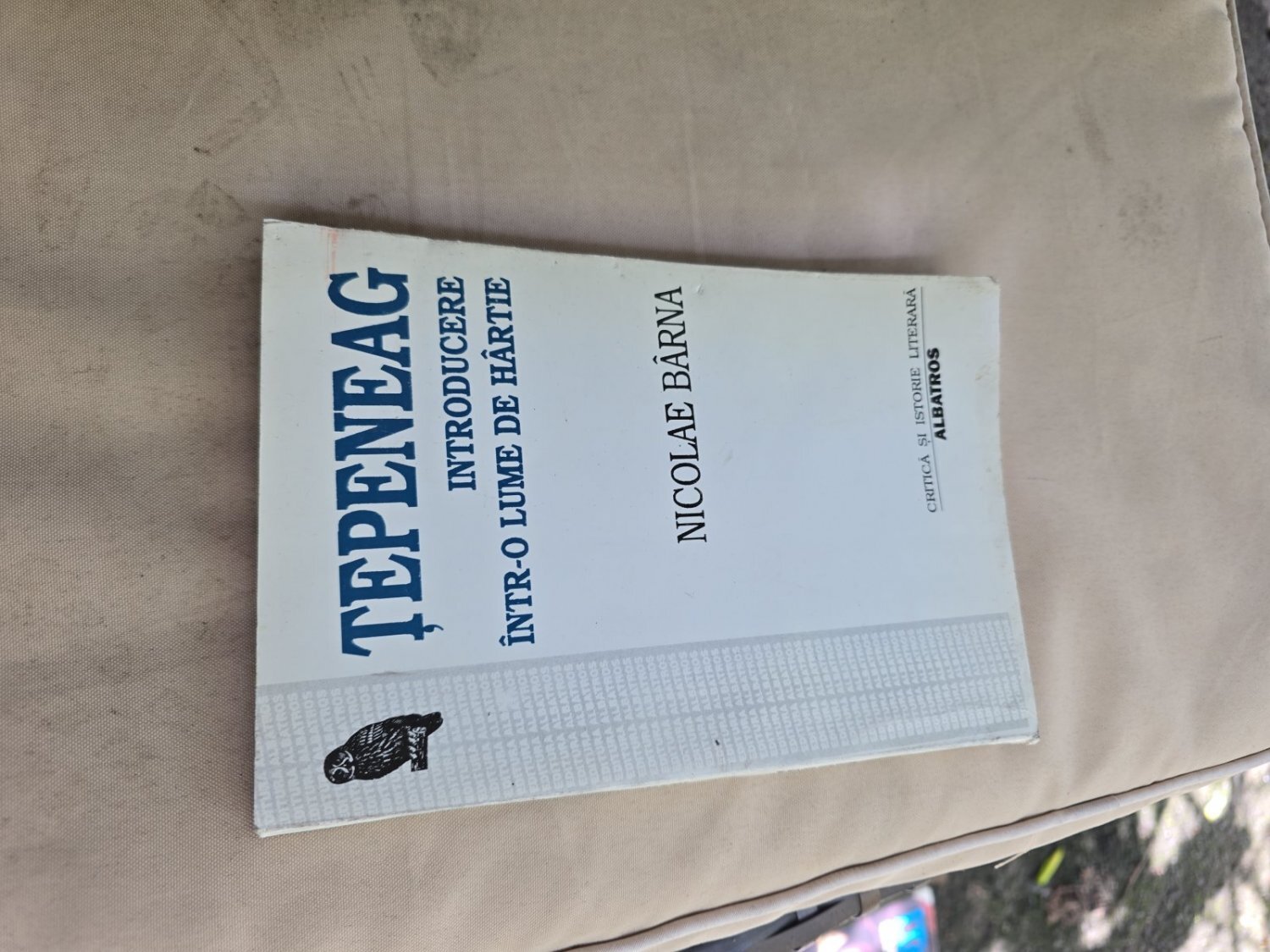 Ţepeneag - Introducere într-o lume de hârtie - Nicolae Bărna