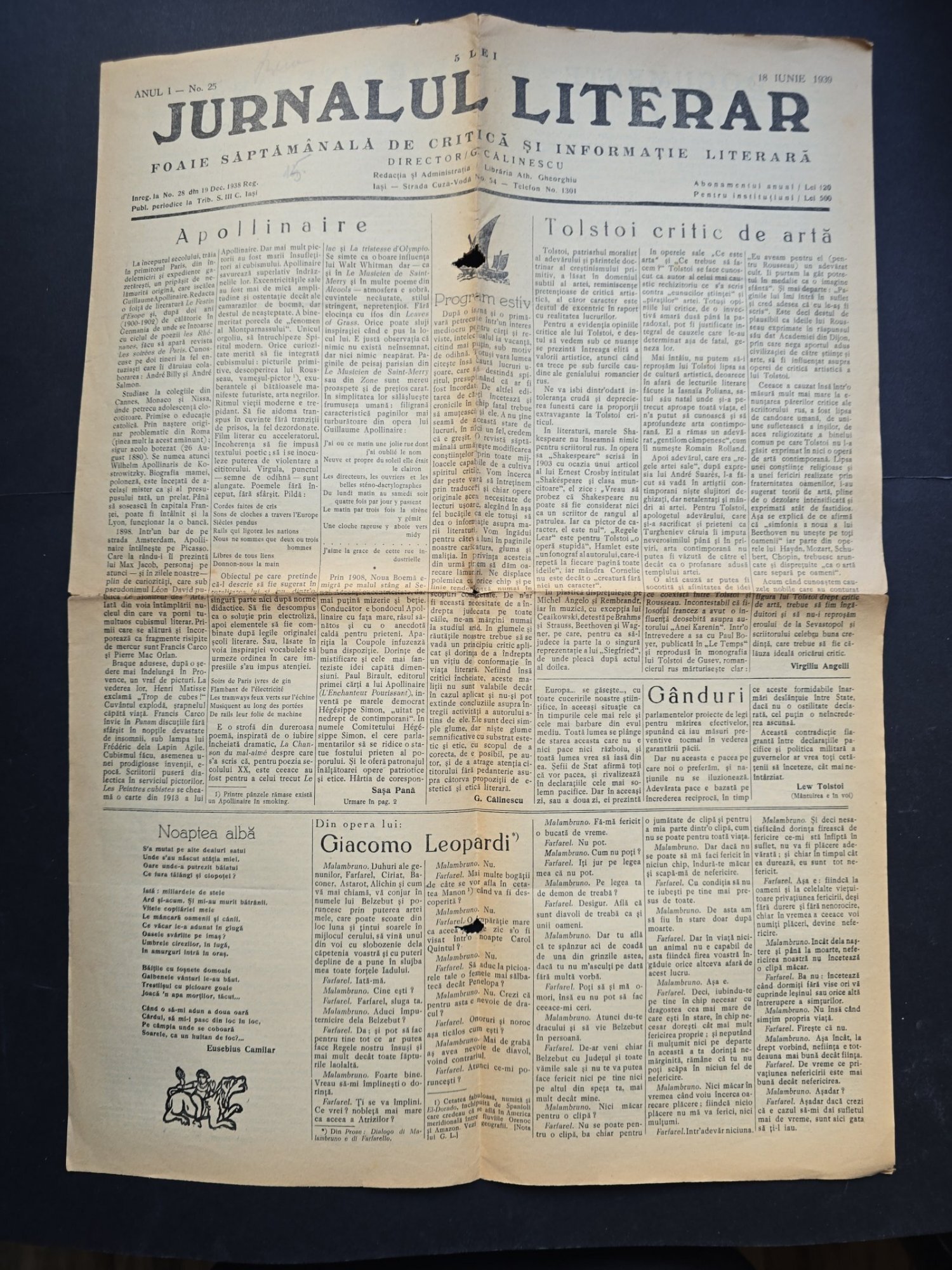 Ziarul Jurnalul Literar No. 25/Anul I - Director G. Călinescu