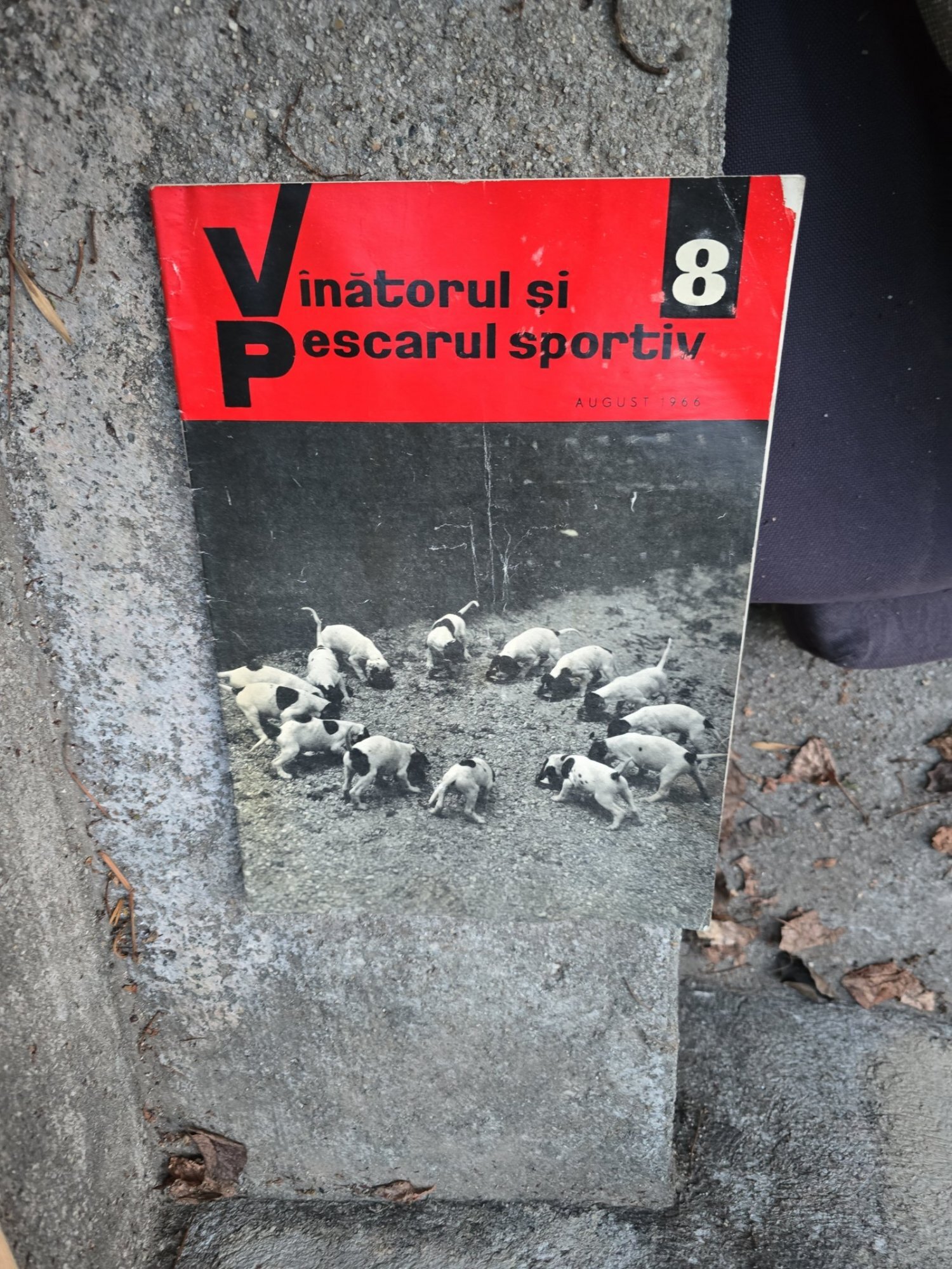 Vânătorul și Pescarul Sportiv nr.8/1966