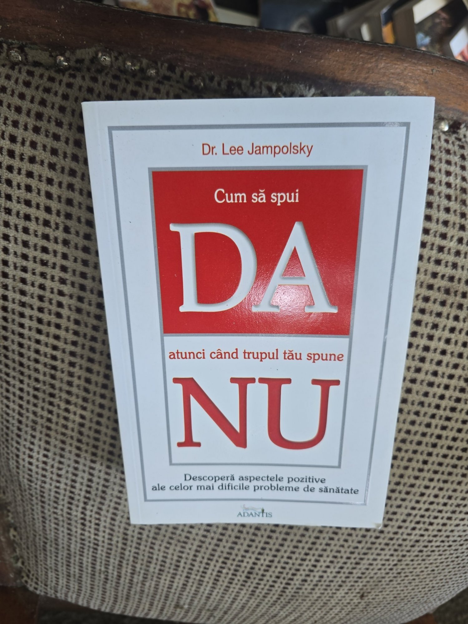 Cum să spui DA atunci când trupul tău spune NU - Dr. Lee Jampolsky