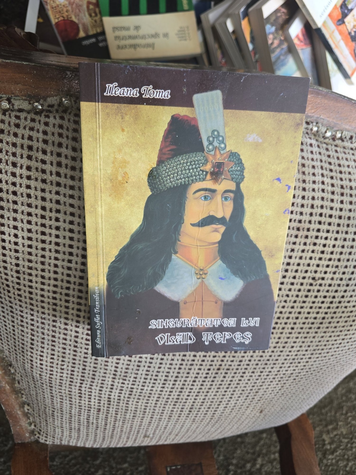 Singuratatea lui Vlad Țepeș - Ileana Toma