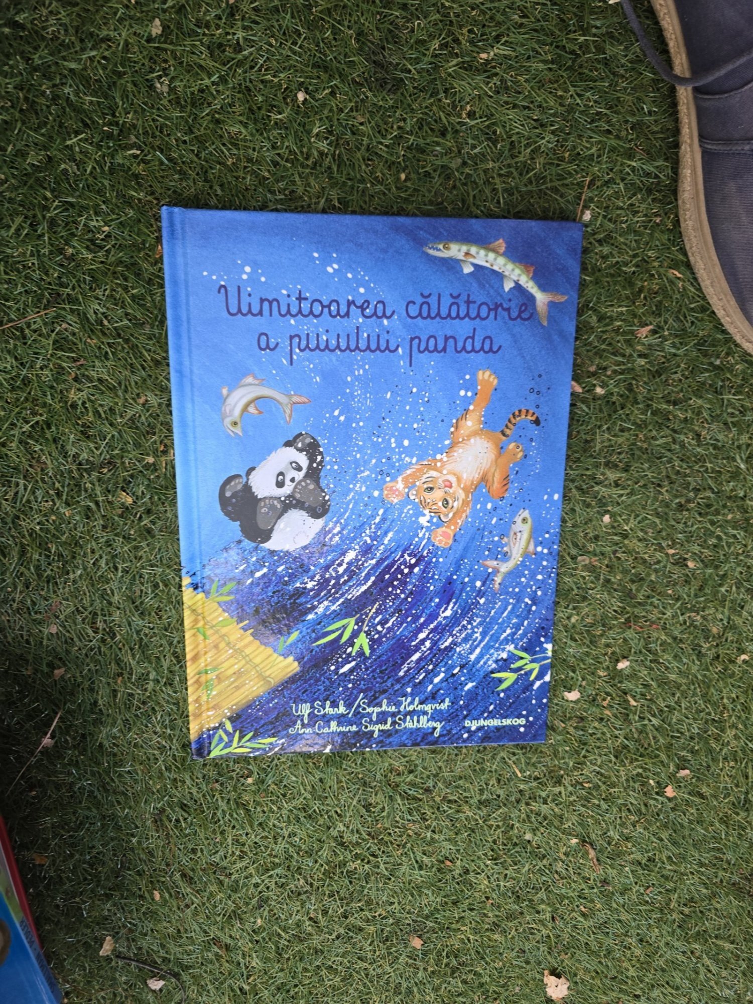 Uimitoarea călătorie a puiului panda - Ulf Stark, Sophie Holmqvist