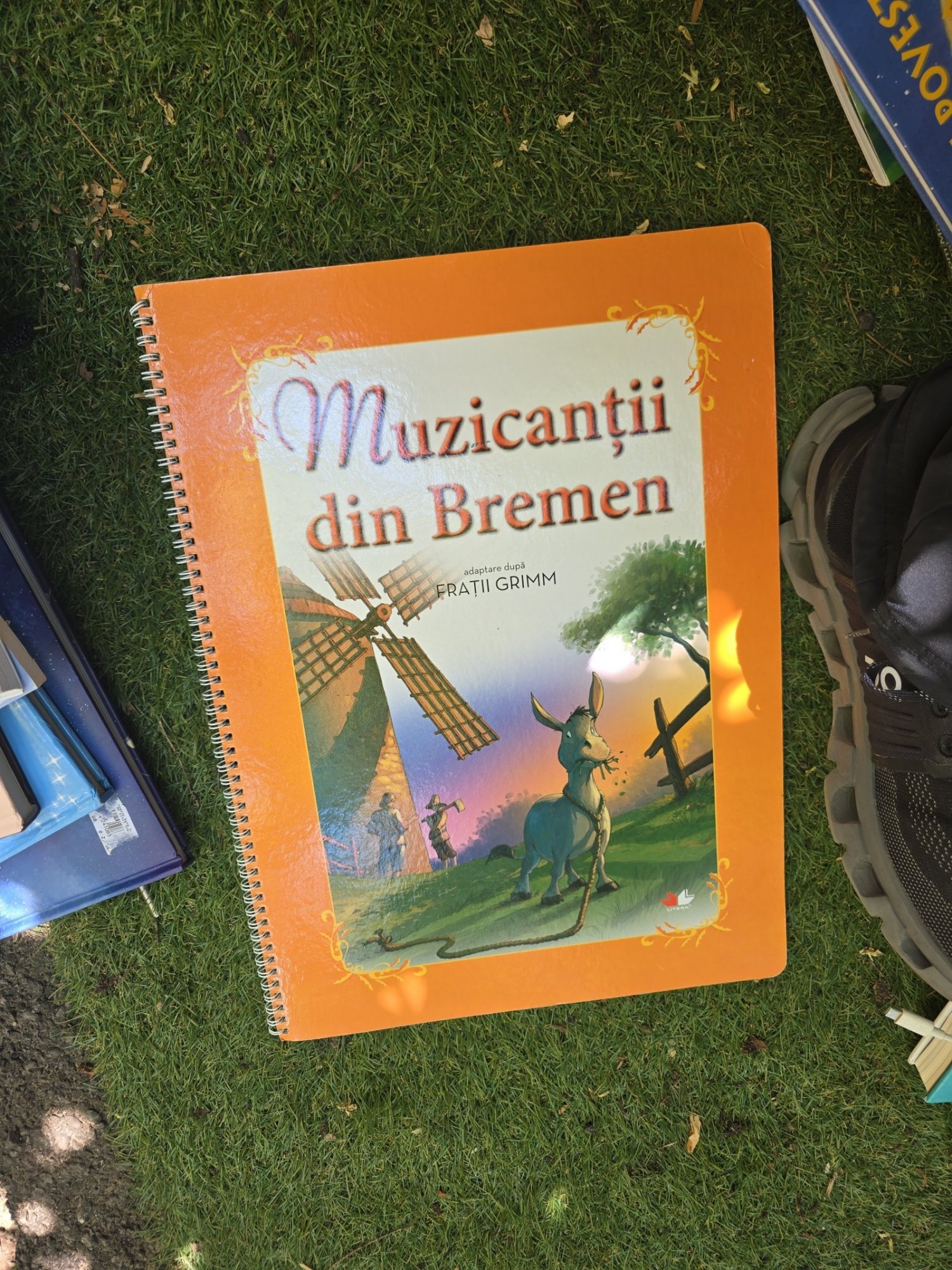 Muzicanții din Bremen - Frații Grimm