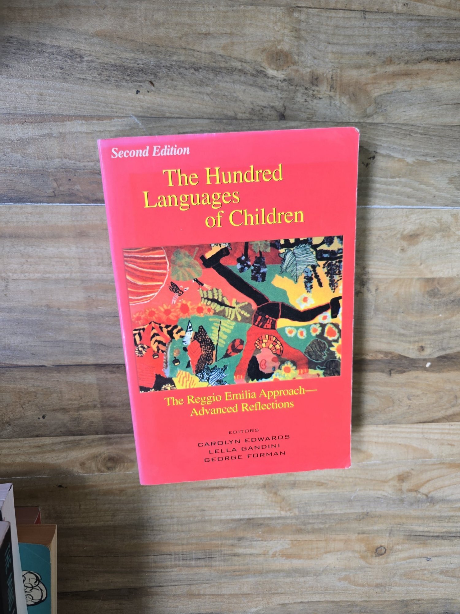 The Hundred Languages of Children - Carolyn Edwards, Lella Gandini, George Forman