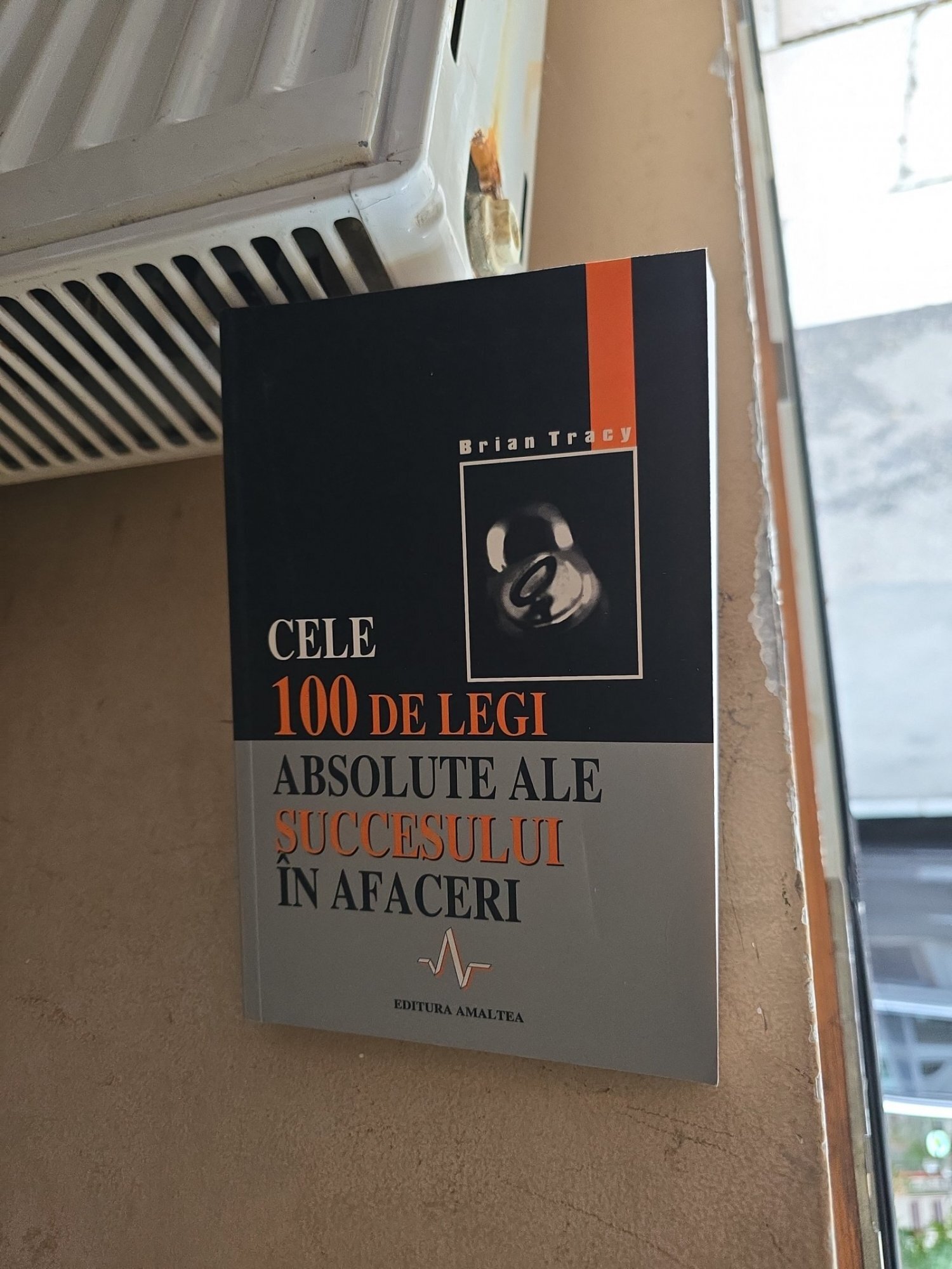 Cele 100 de legi absolute ale succesului în afaceri - Brian Tracy