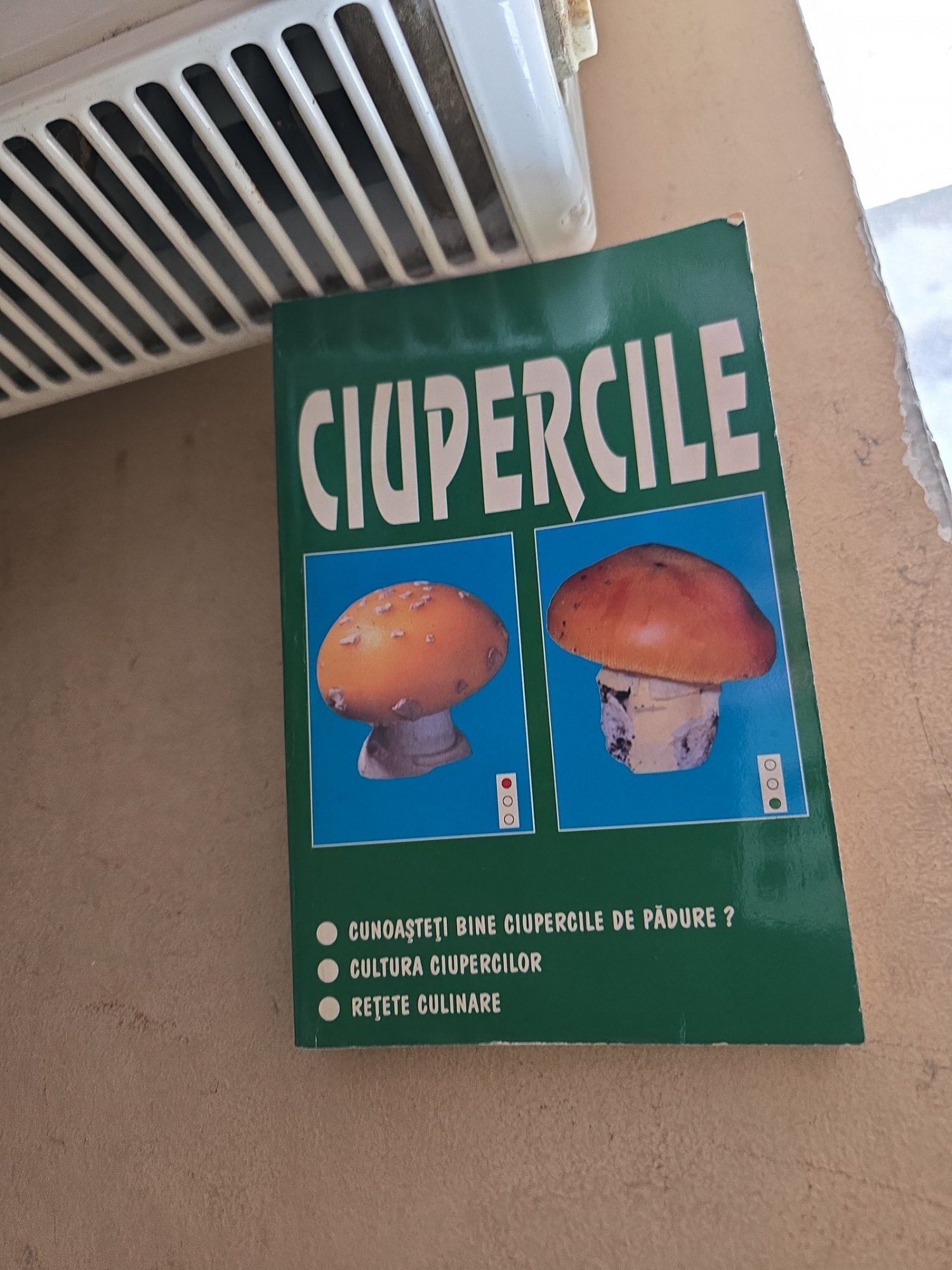 Ciupercile - P. Vlad